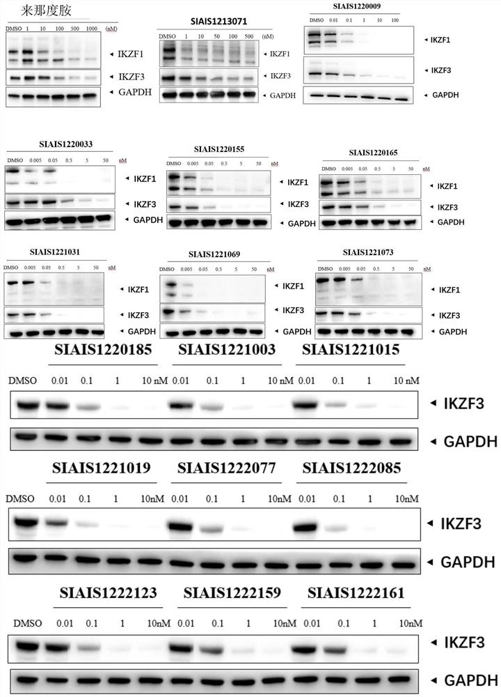 Sulfur-containing compound based on glutaryl imide skeleton and application of compound