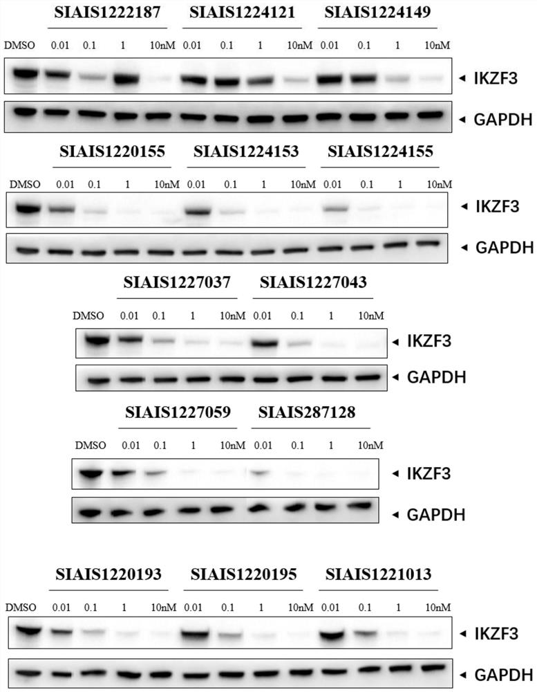 Sulfur-containing compound based on glutaryl imide skeleton and application of compound