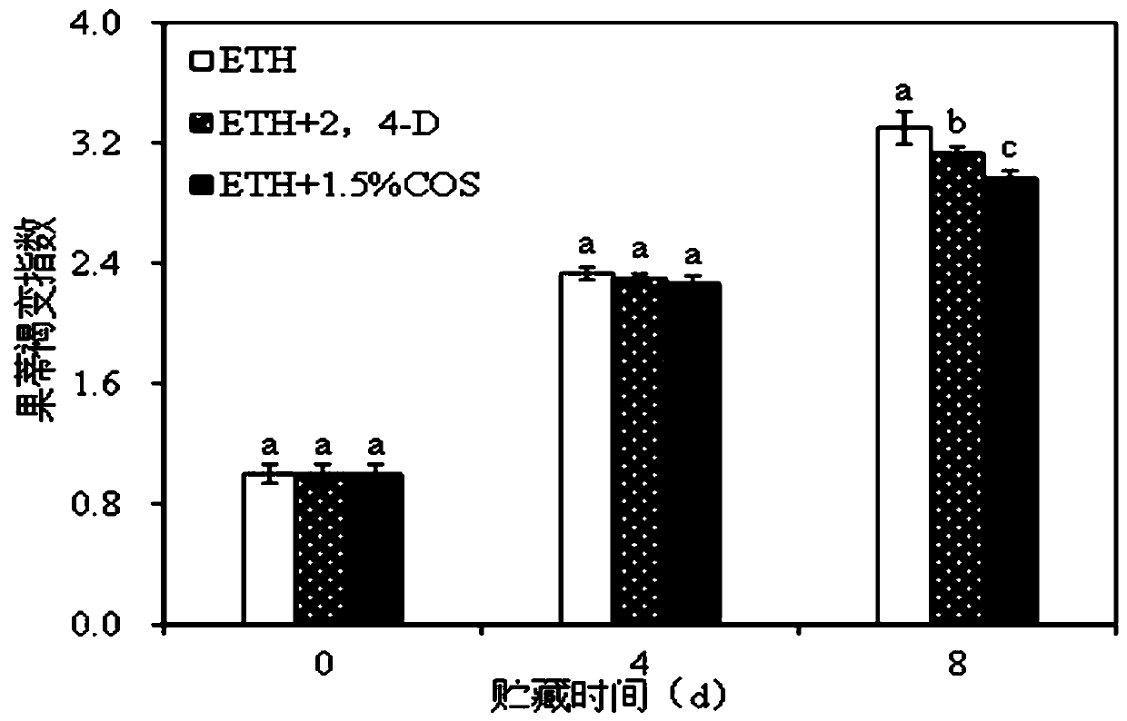 An improved method for chlorosis of tangerine fruit