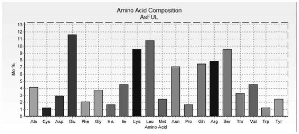 AsFUL gene and protein capable of accelerating plant to bloom, and application of AsFUL gene and protein