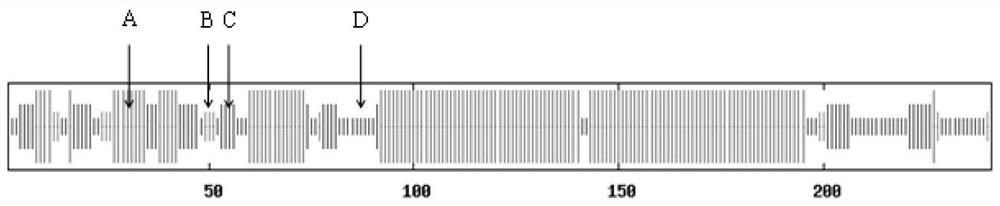 AsFUL gene and protein capable of accelerating plant to bloom, and application of AsFUL gene and protein