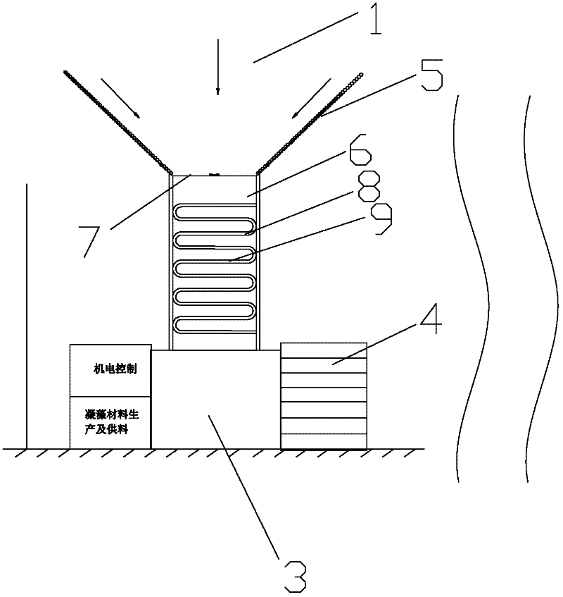 Algae-water separation port