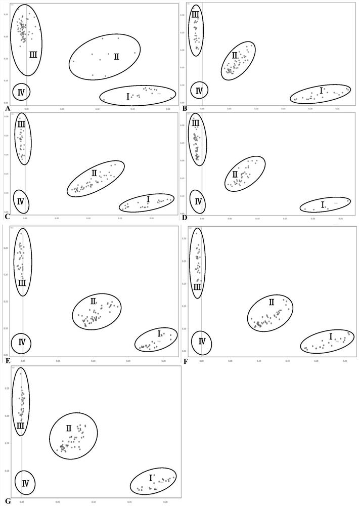 Combination of SNP loci for detection of tomato gray leaf spot resistance and its application