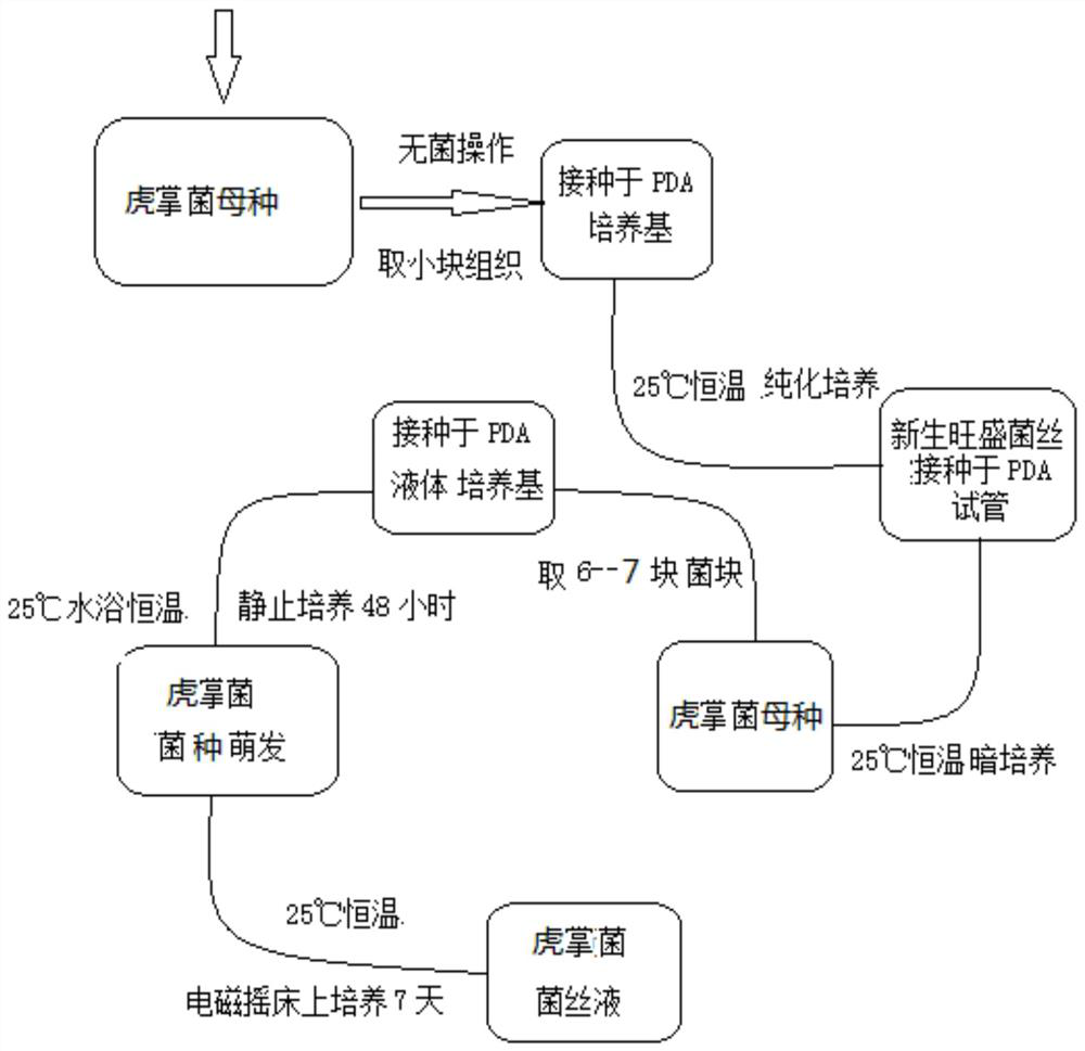 Low-fat nutritional salad dressing produced from dictyophora indusiata and tremellodon gelatinosum mycelia and method