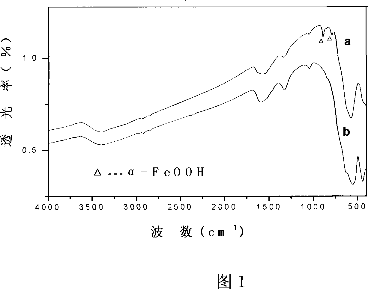 Method for preparing Fe2O3 Nano particles clad by Fe2O3