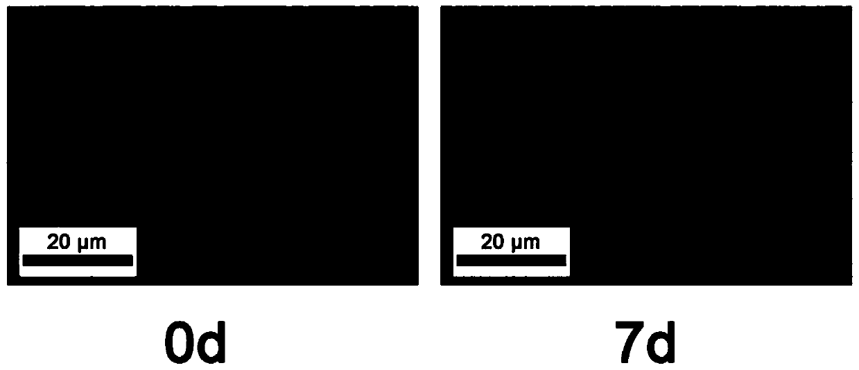 A liquid phase mineralization precursor and method for repairing demineralized dentin