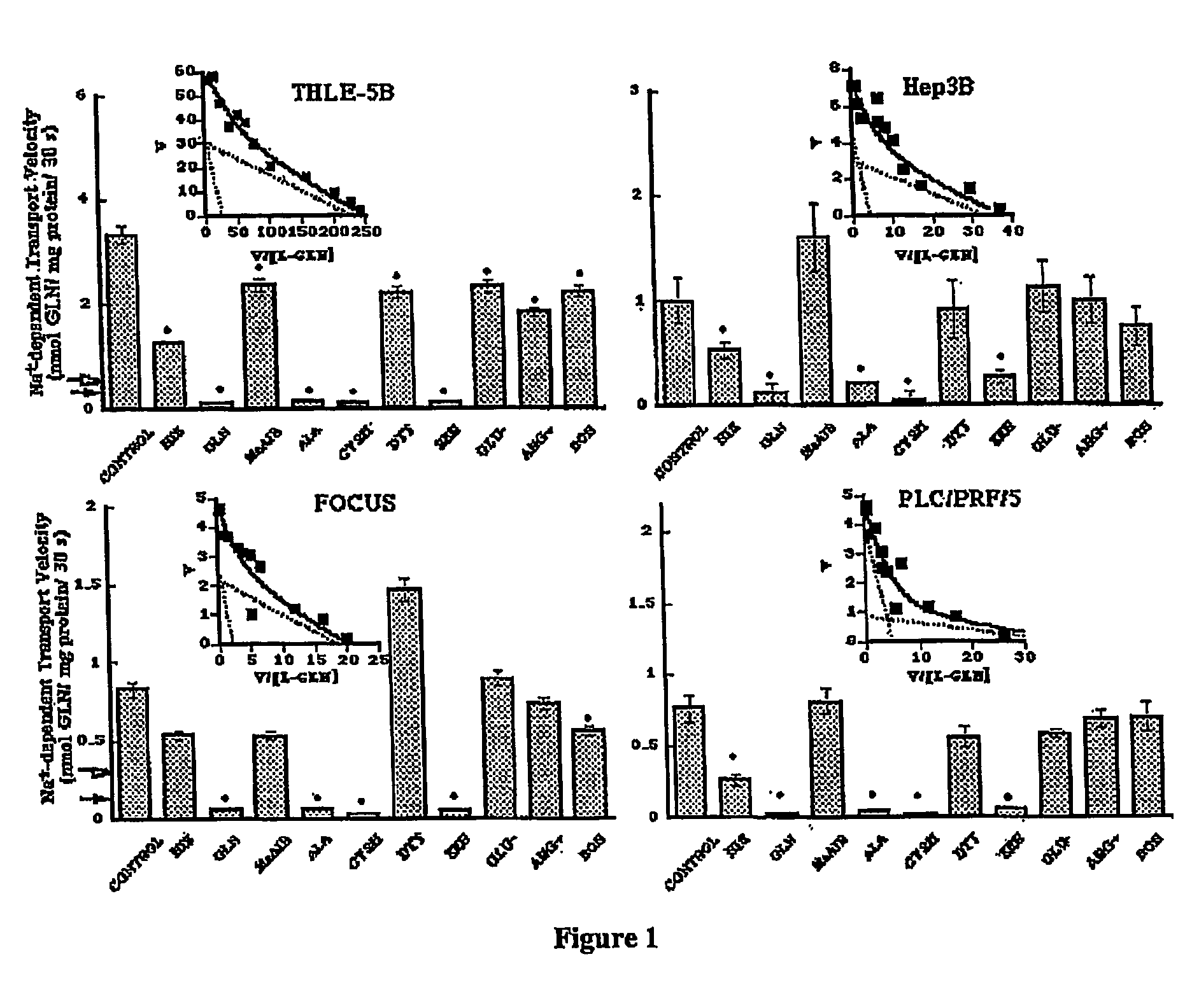 Compositions and methods of treating and diagnosing hepatoma