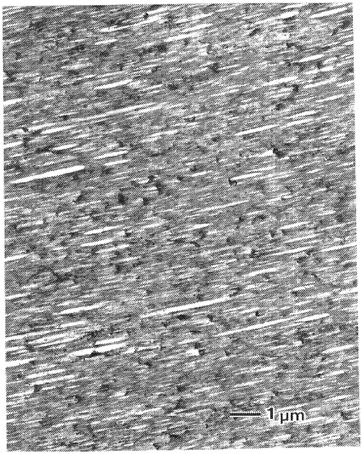 Degradable monofilament and preparation process thereof