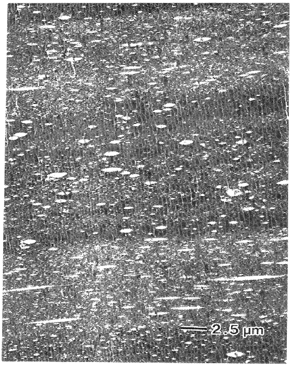 Degradable monofilament and preparation process thereof