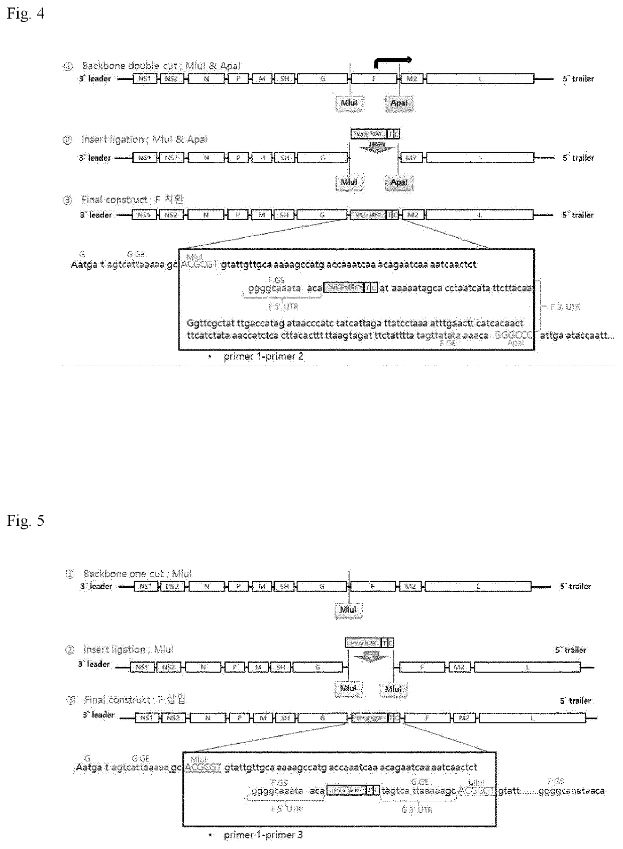 Recombinant rsv live vaccine strain and production method therefor