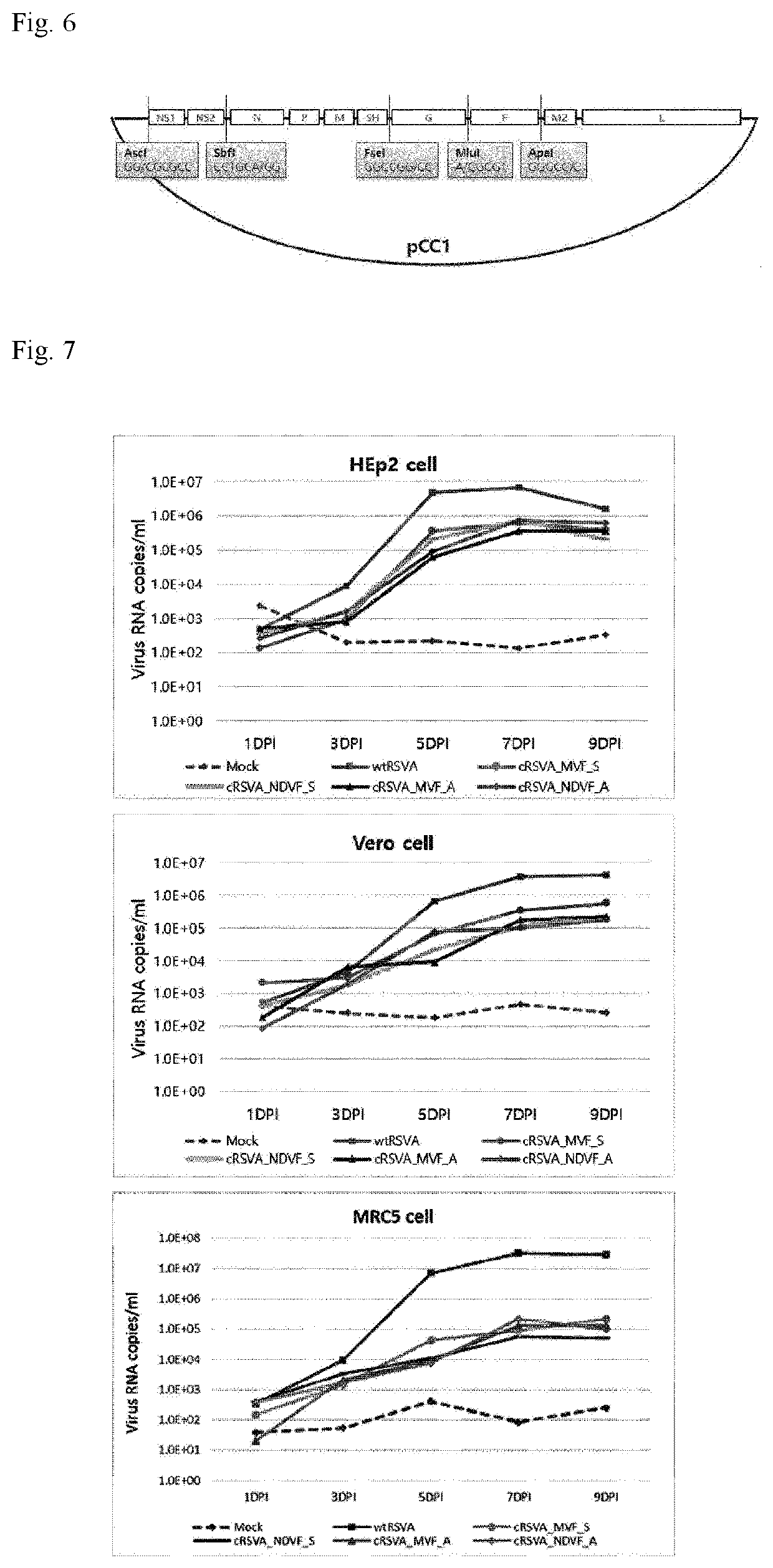 Recombinant rsv live vaccine strain and production method therefor