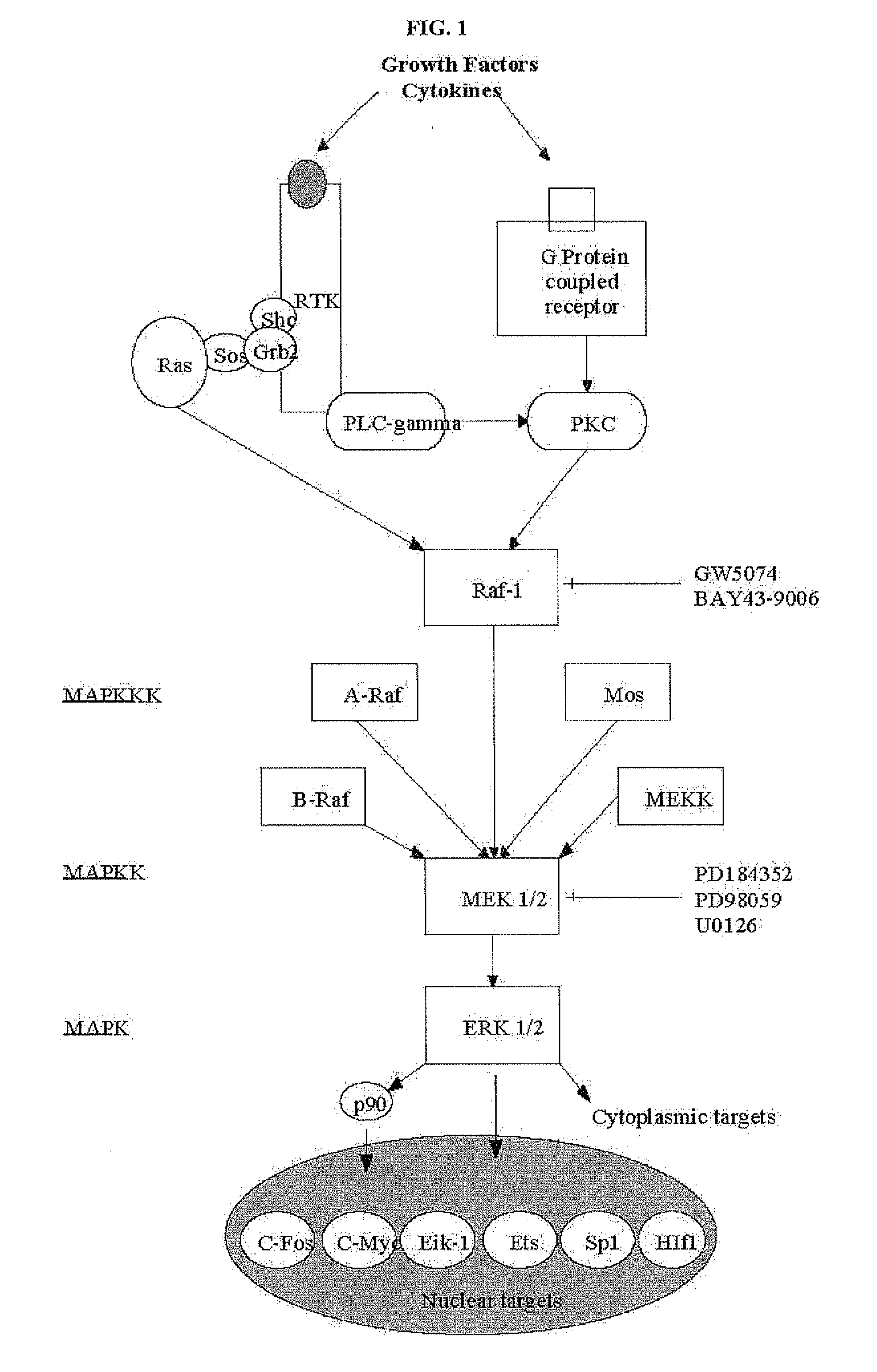 Specific kinase inhibitors