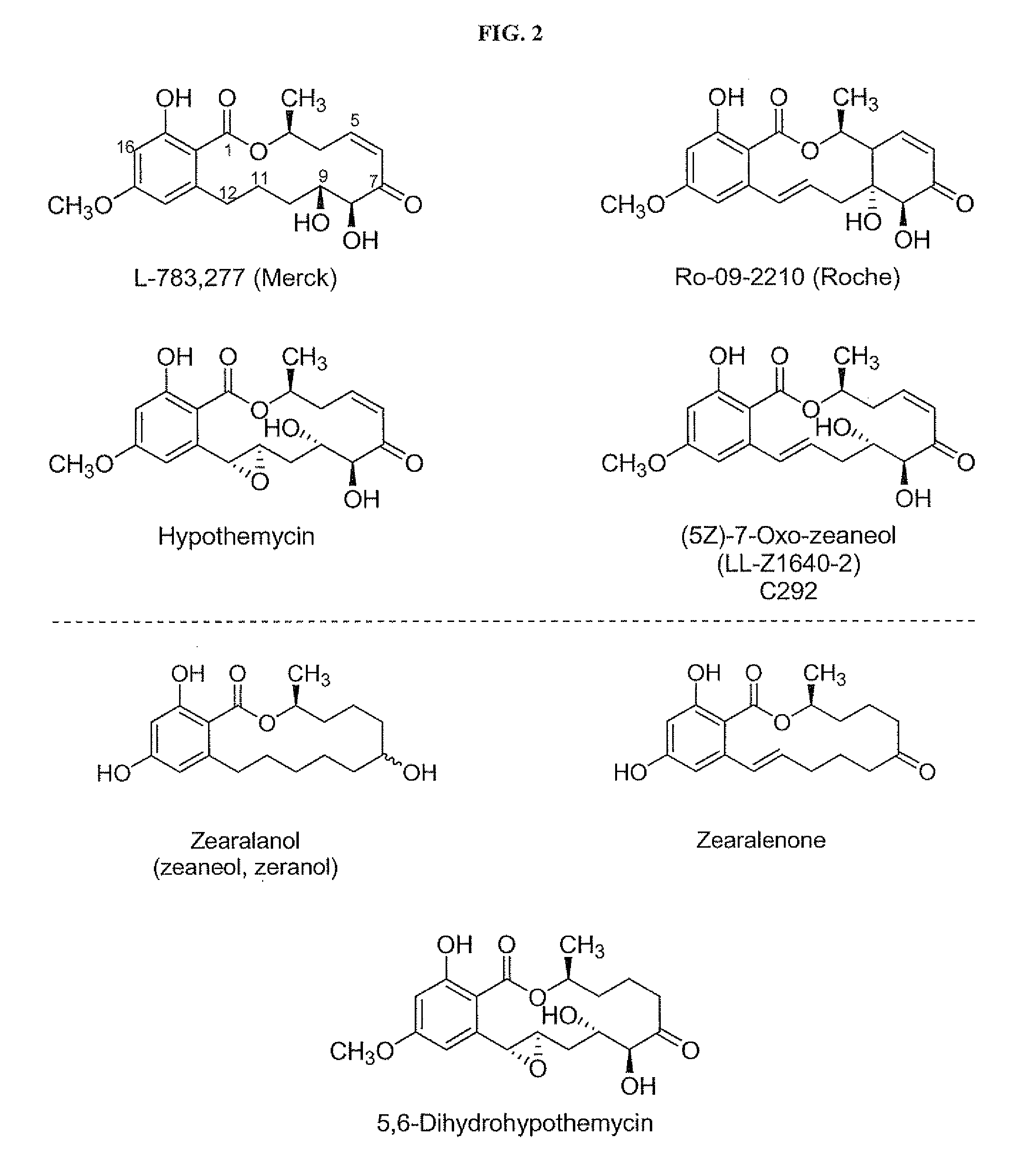 Specific kinase inhibitors