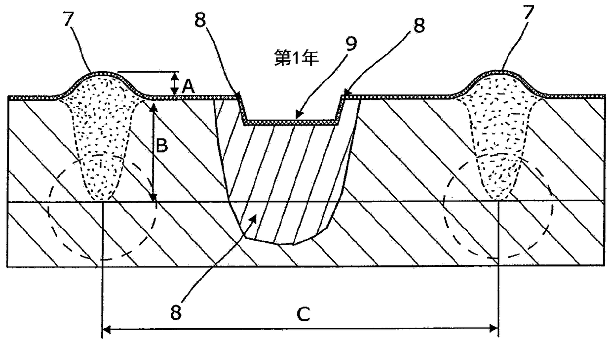 strip tillage system