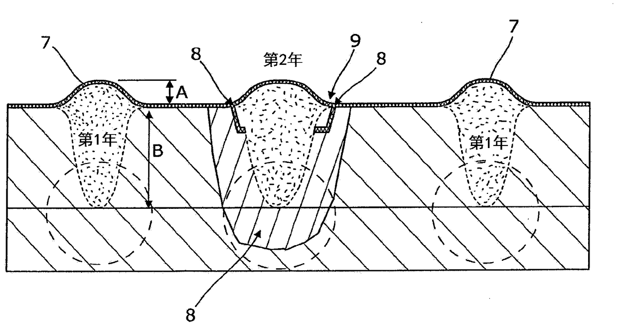 strip tillage system