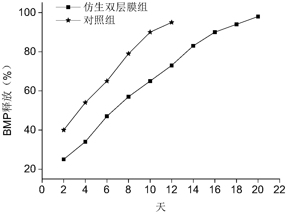 Bionic double-layer sustained-release growth factor film as well as preparation method and application thereof