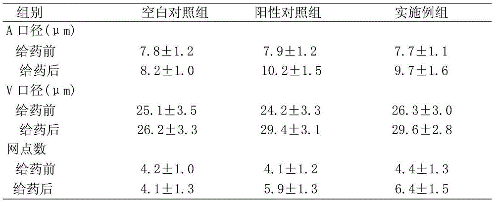 Traditional Chinese medicinal composition for treating traumatic injury