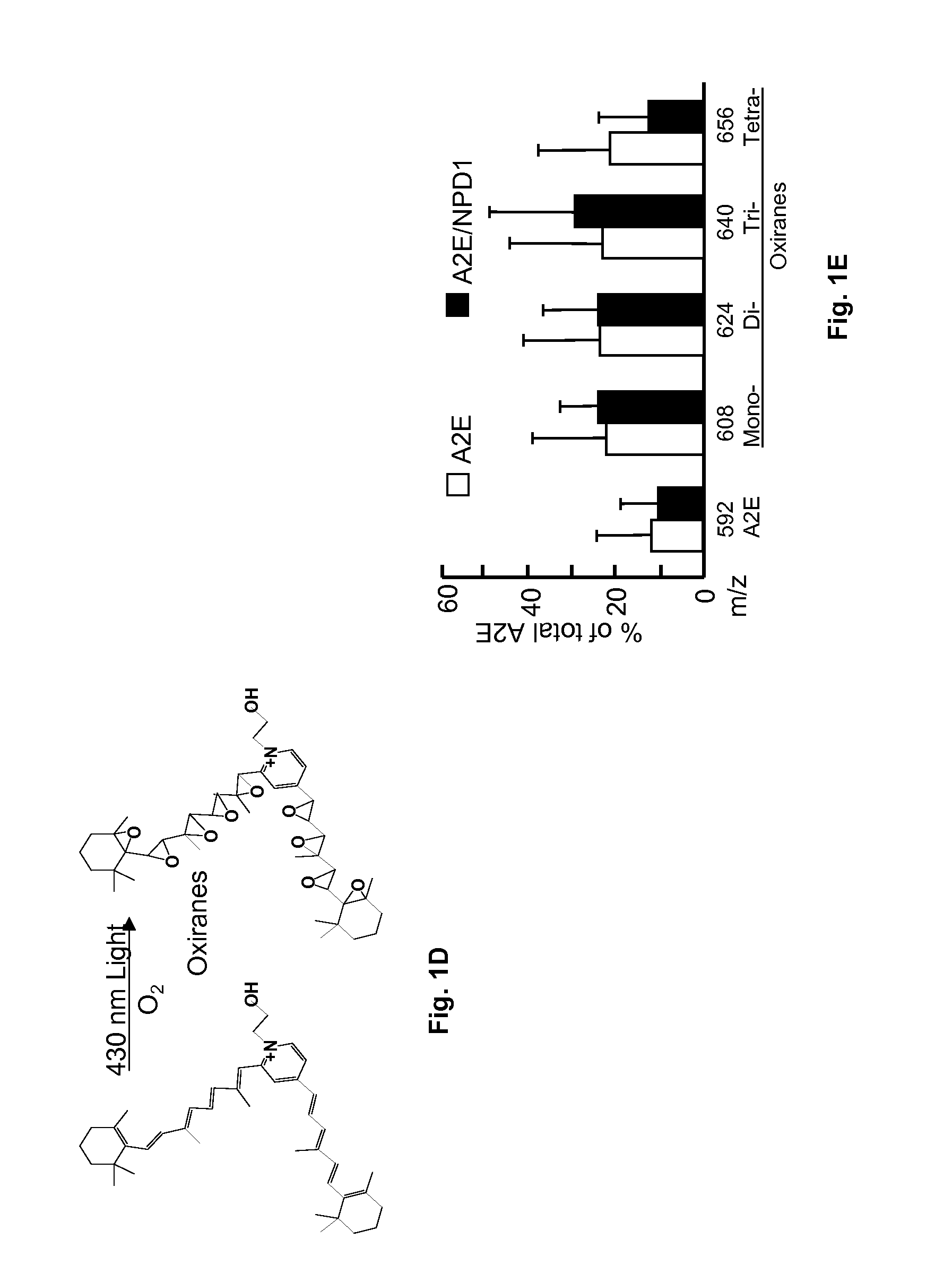 DHA and PEDF, a Therapeutic Composition for Nerve and Retinal Pigment Epithelial Cells