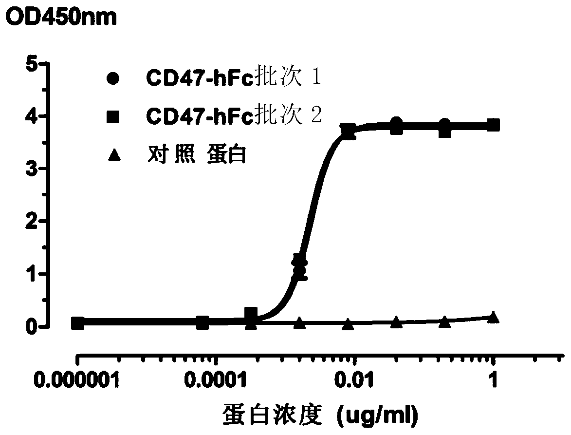 Anti-CD47 antibody and production method and application thereof