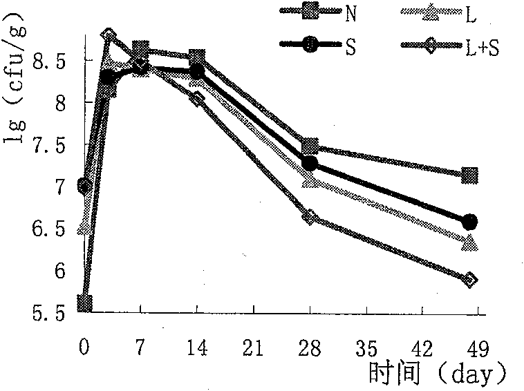 Pentose lactobacillus bacteriocin and its special production strain and uses