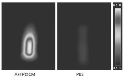 A cell membrane-coated au-fe  <sub>3</sub> o  <sub>4</sub> Targeted nanomaterials and their preparation methods and applications