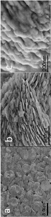 Preparation method and application of two-dimensional nano rare earth borate laccase sensor