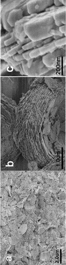 Preparation method and application of two-dimensional nano rare earth borate laccase sensor