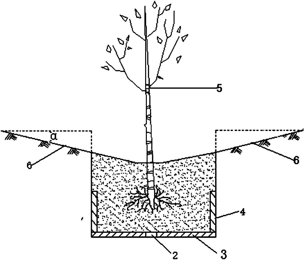 Inland saline and alkaline land forestation method