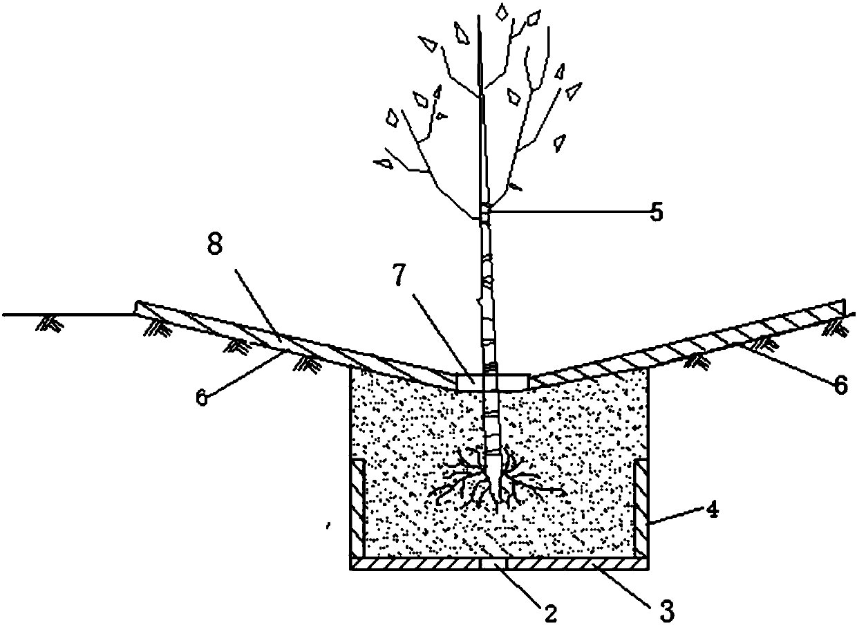 Inland saline and alkaline land forestation method