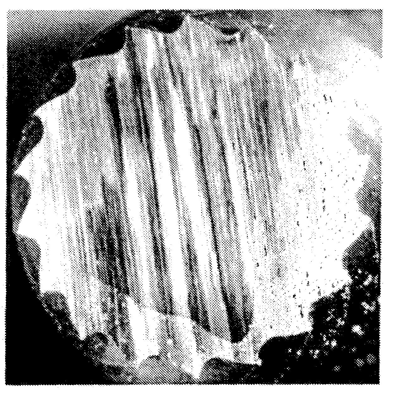 Rotary Burr Comprising Cemented Carbide