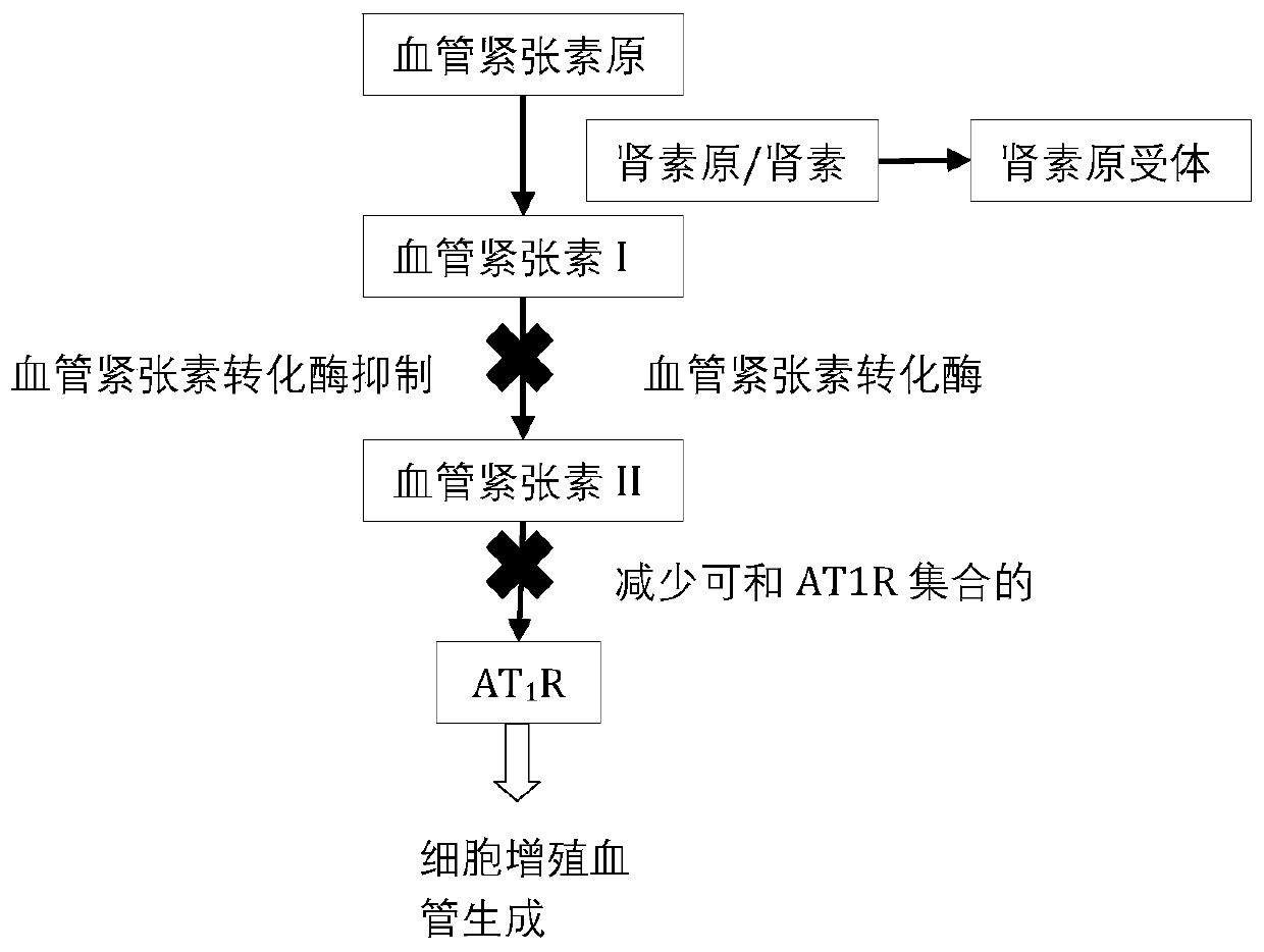 Application of enalapril to preparation of antitumor medicines