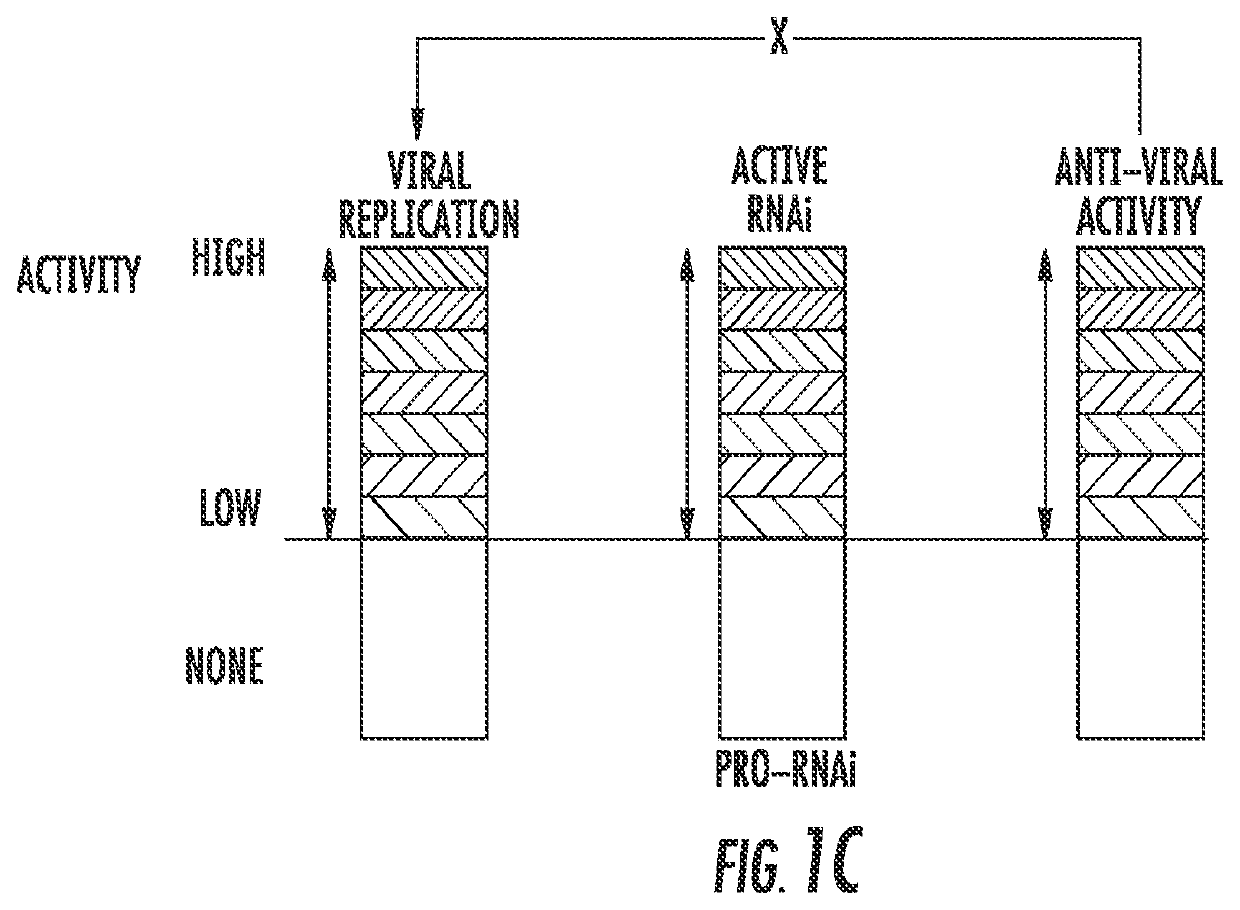 Influenza-activated constructs and methods of use thereof