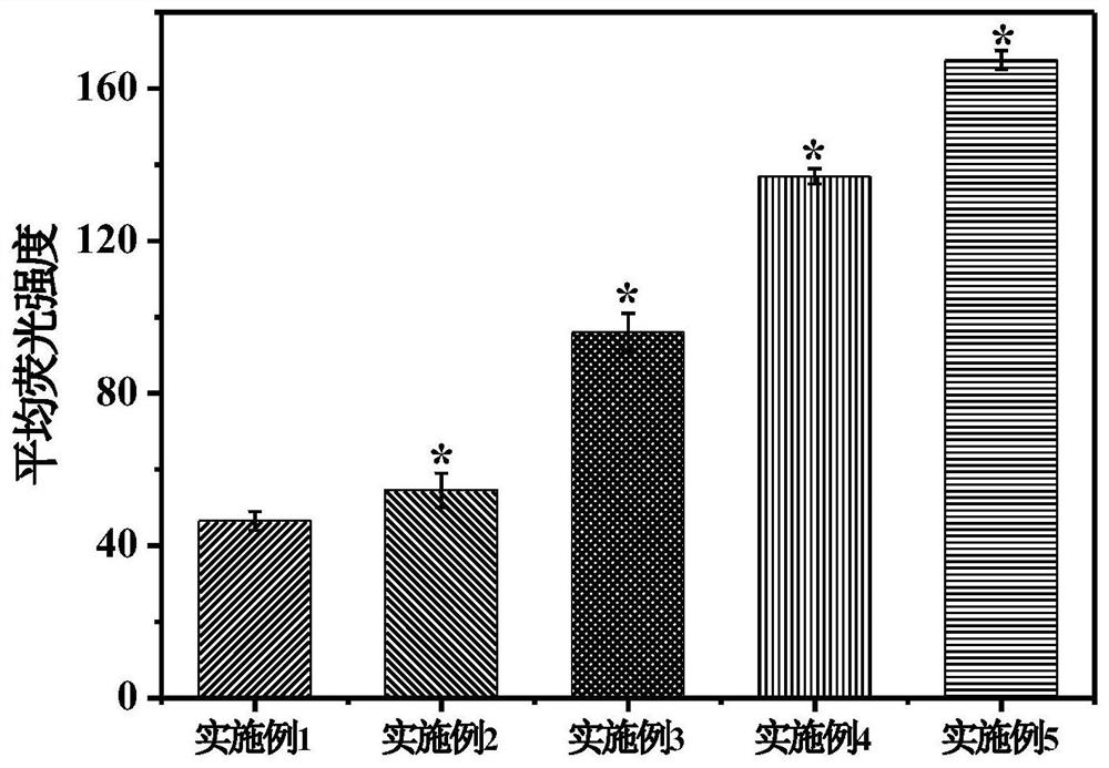 5-boron pyridine carboxylic acid modified targeted drug delivery system and preparation method thereof