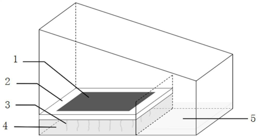 Solar evaporator based on biomass hydrogel/nano carbon material and application of solar evaporator