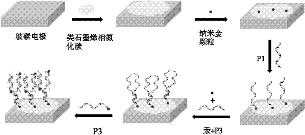 Electrochemical sensor for detecting mercury as well as preparation method and application of electrochemical sensor