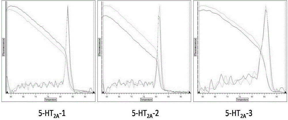 Primers and detection method for detecting the expression level of 5-ht receptor gene related to pork quality