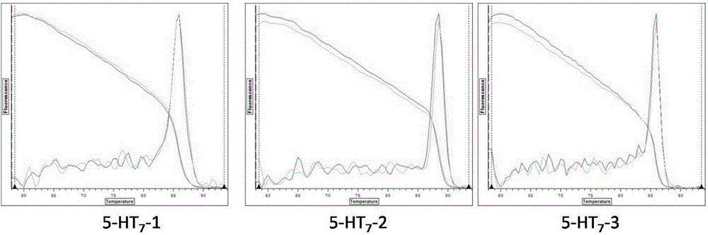 Primers and detection method for detecting the expression level of 5-ht receptor gene related to pork quality