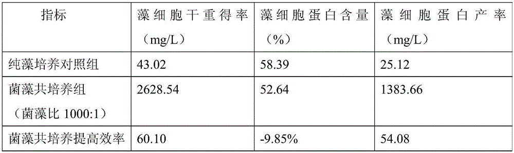 Method for increasing yield of chlorella through two-round bacterium adding co-culture and method for preparing biological feed