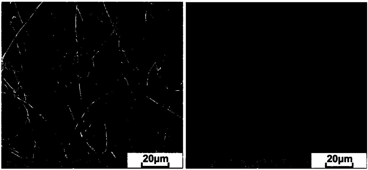 Zein and glycopolypeptide graft and its preparation method and application