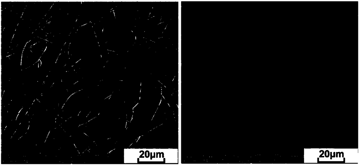 Zein and glycopolypeptide graft and its preparation method and application