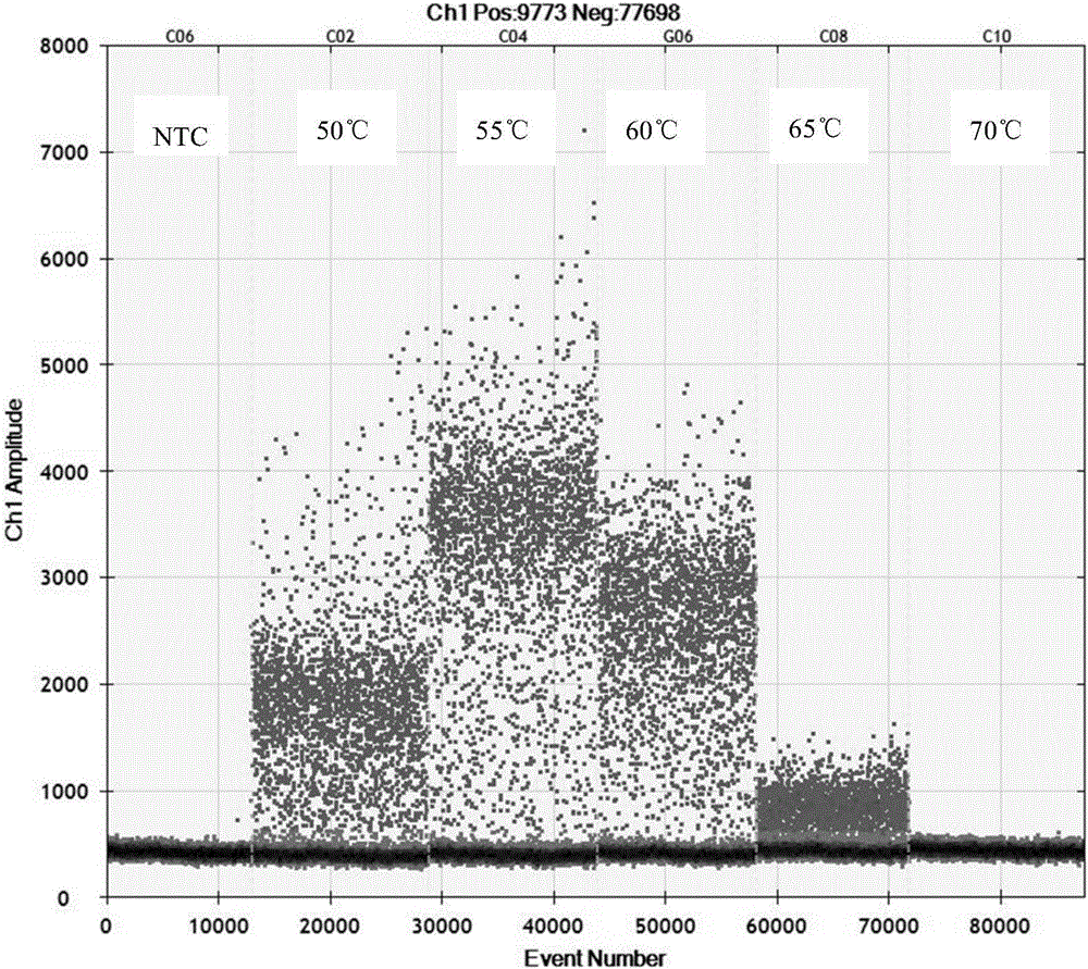 Reagent kit and method for accurately and quantitatively detecting type-II norovirus