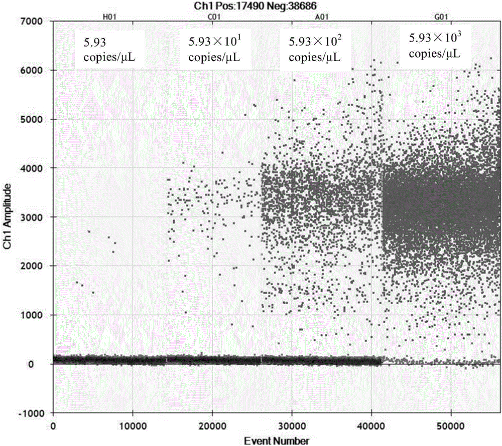 Reagent kit and method for accurately and quantitatively detecting type-II norovirus