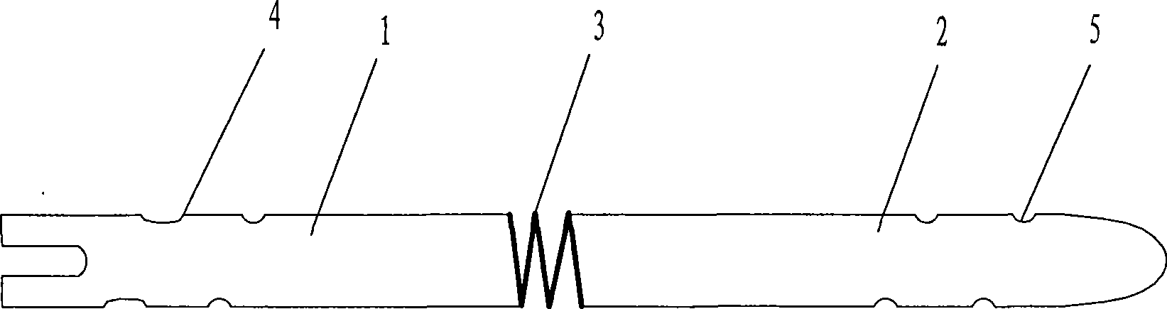 Elastic intramedullary nail