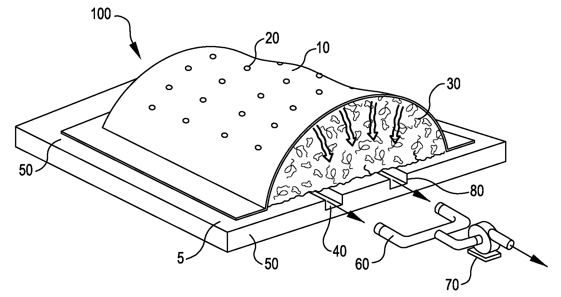 Systems and methods for generating compost