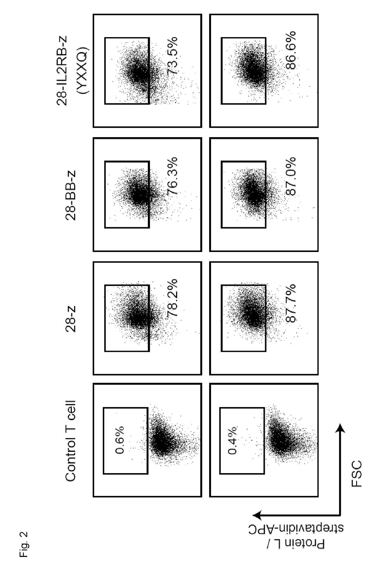 Chimeric Antigen Receptors