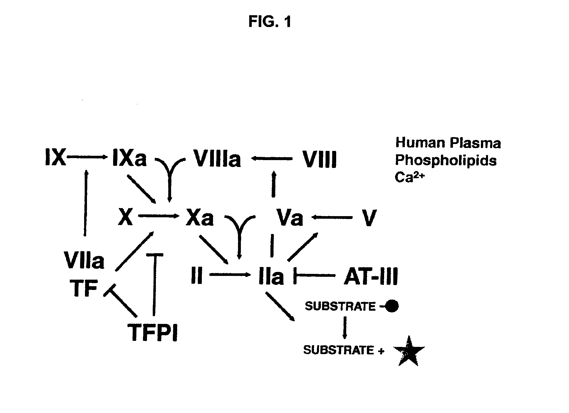 Non-anticoagulant sulfated or sulfonated synthetic polymers