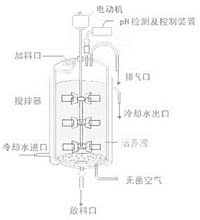 a fermentation tank