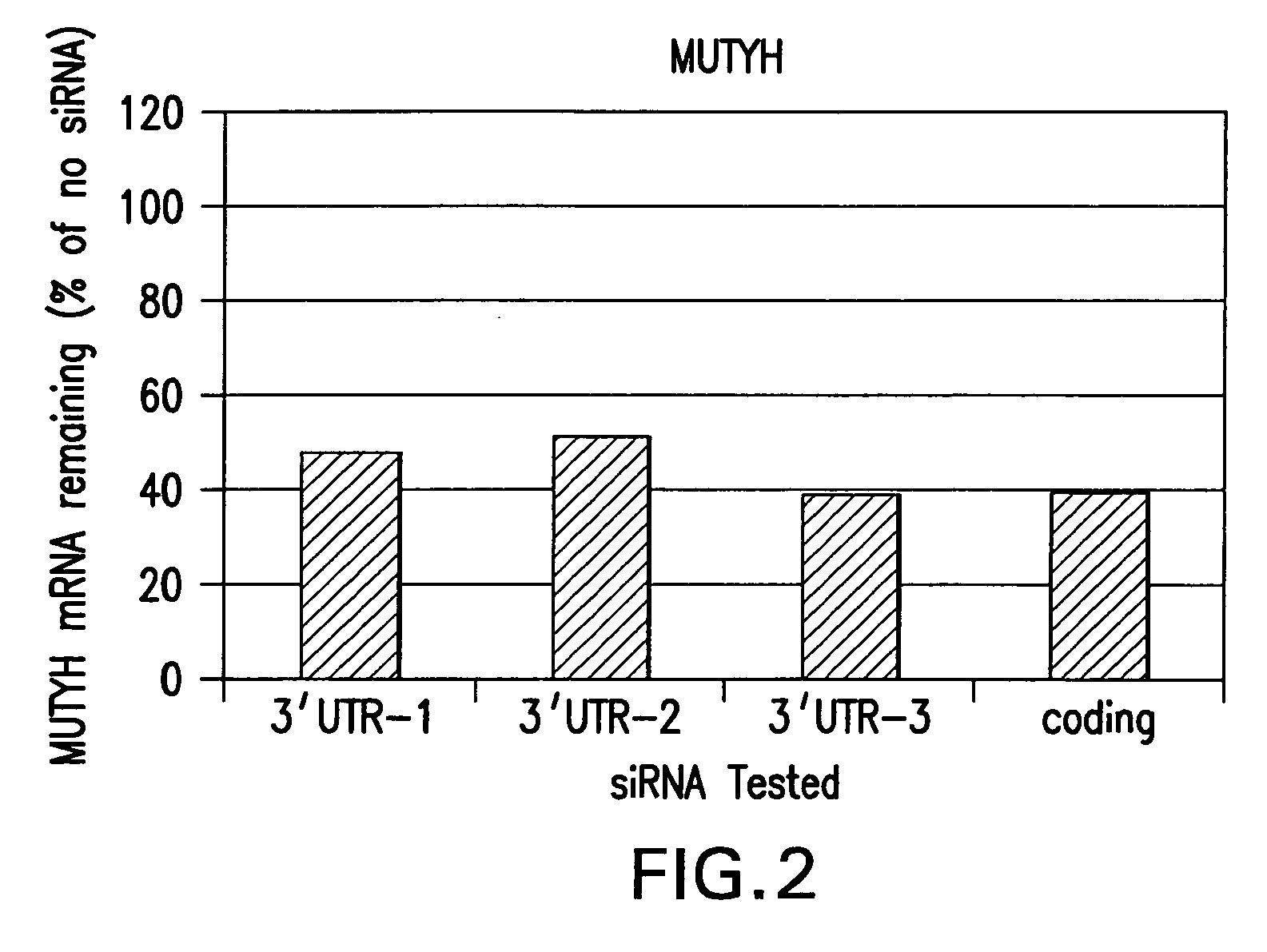 Novel HIV targets