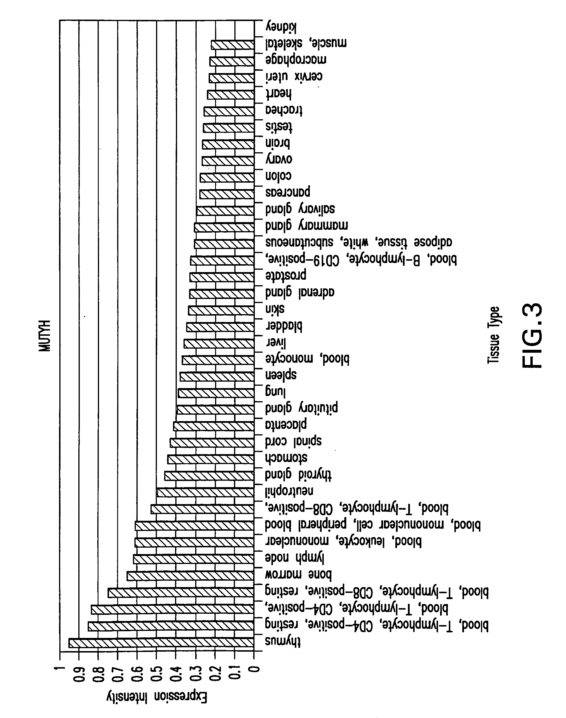 Novel HIV targets