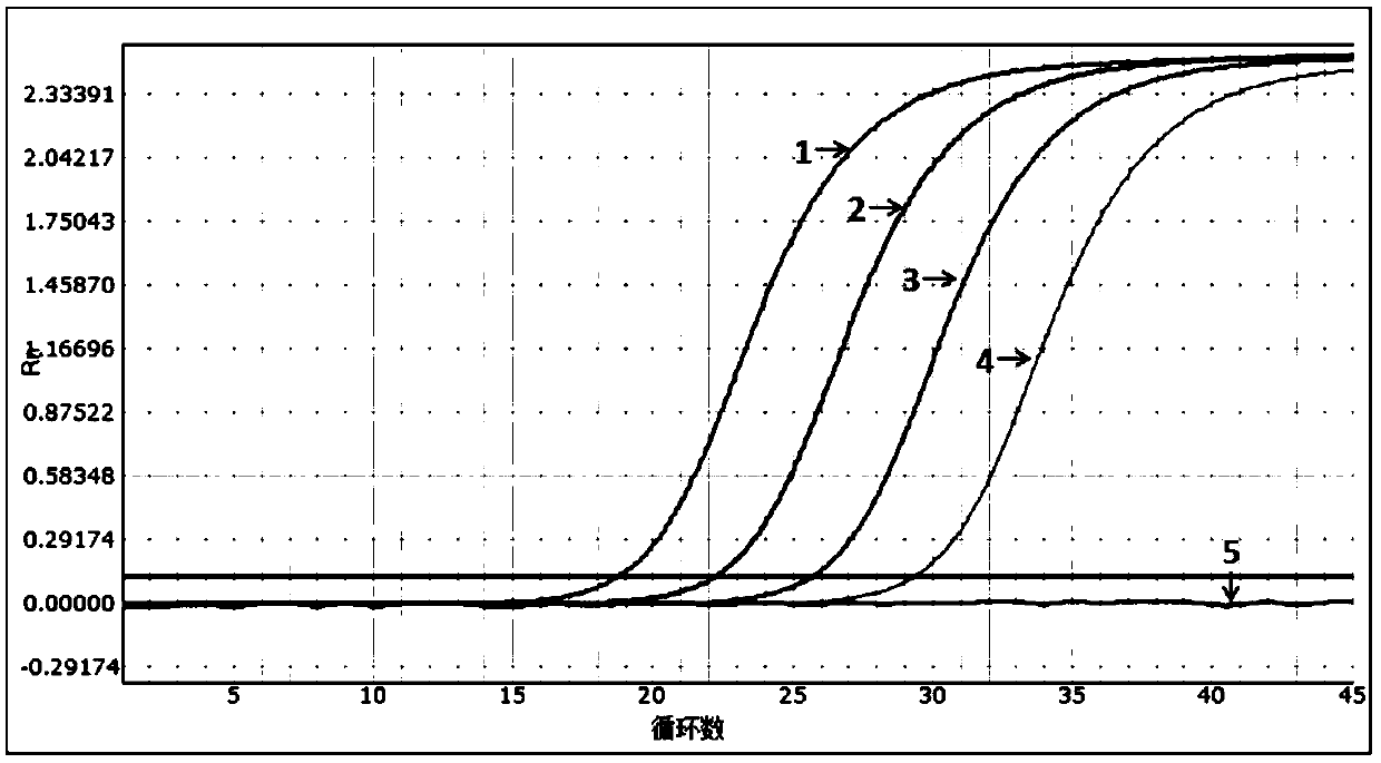 Human immunodeficiency virus, hepatitis B virus, hepatitis C virus rapid joint detection kit and its preparation and application